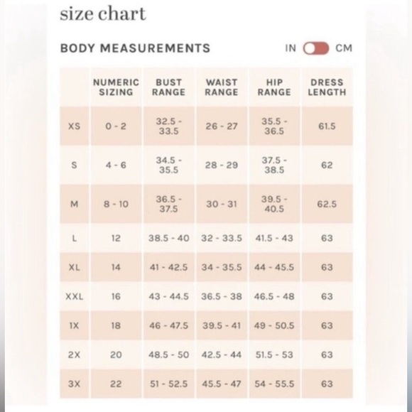 Birdy Grey ‘CHRISTINA’ CONVERTIBLE DRESS TULLE DUSTY BLUE NEW NWT Bridesmaid L - Picture 16 of 16